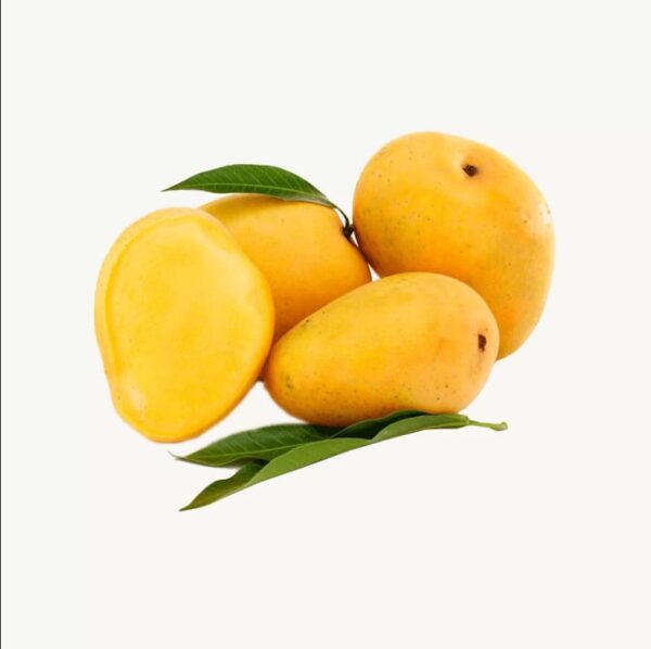 Anwer Ratol