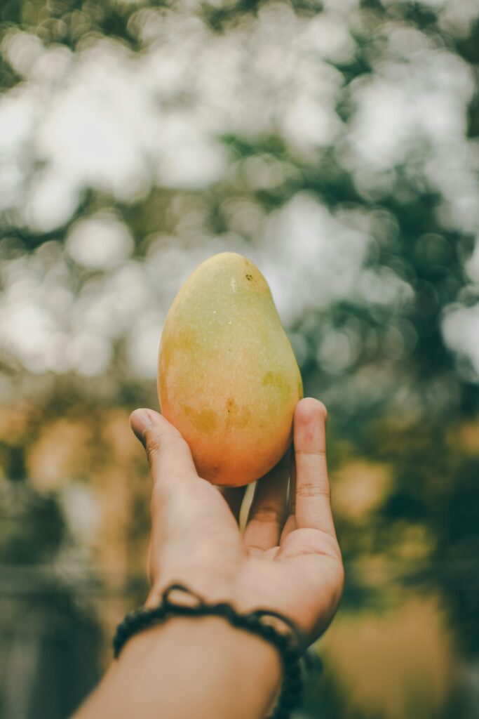 chaunsa-mango