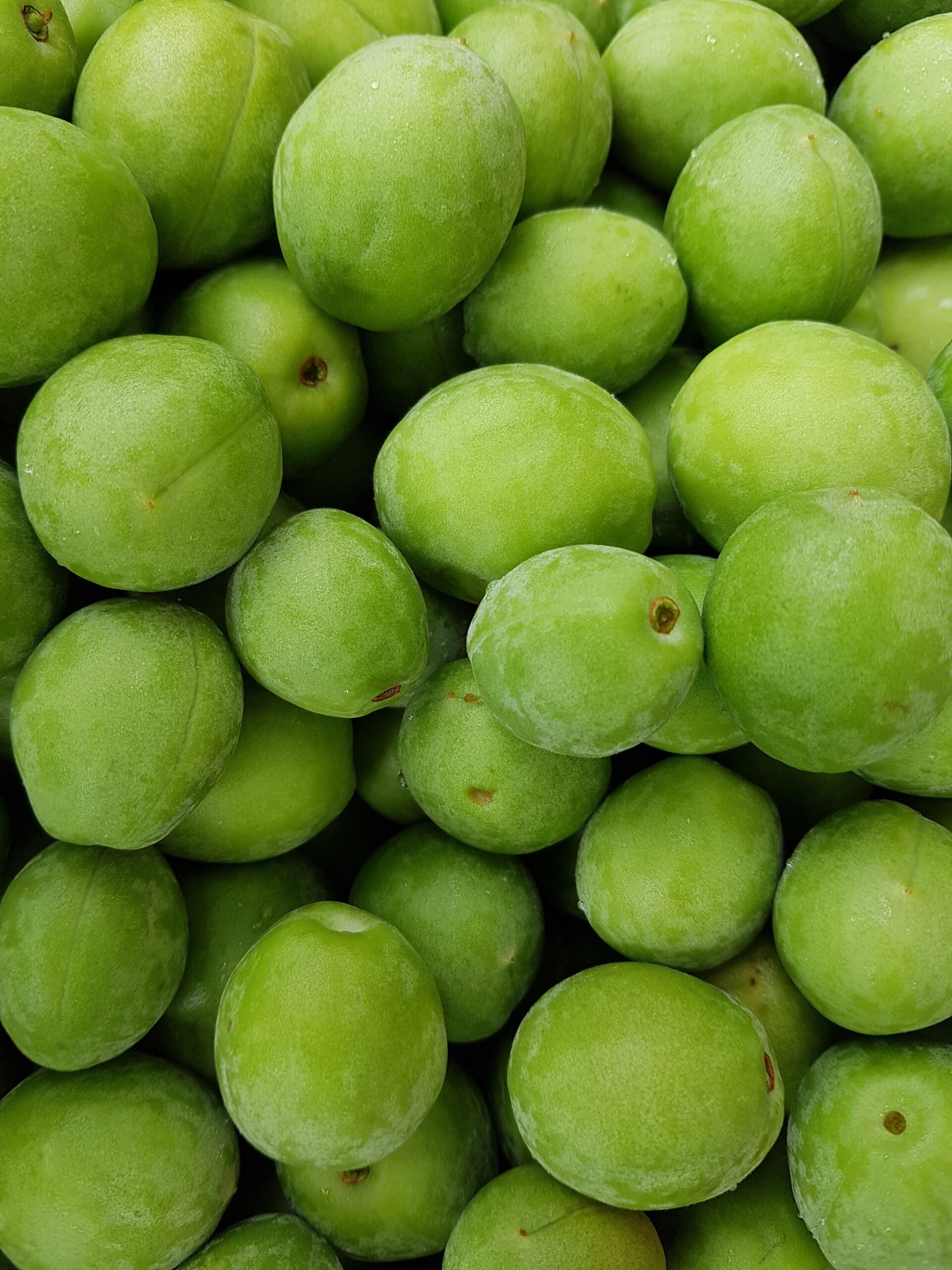 Dasheri Mango